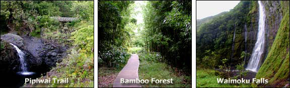 Pipiwai Trail: Cascades | Bamboo Forest | Waimoku Falls